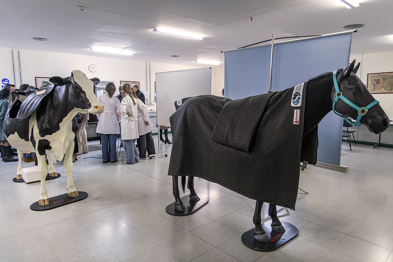 Hablar de derechos de los animales en el siglo XXI